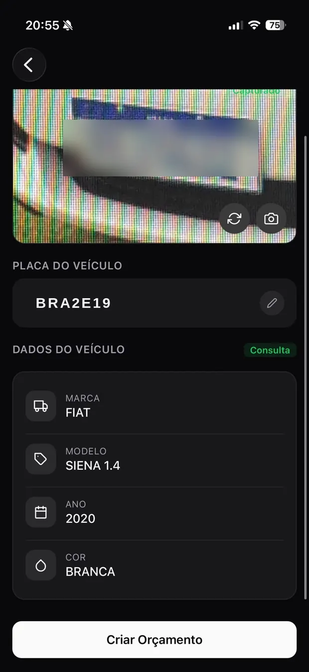 Leitura da placa REI5G32 com os dados do veículo preenchidos